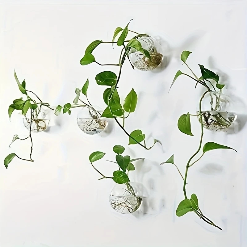 Self-Watering Planter - 2/4/6 Pack Wall Hanging Glass Terrarium