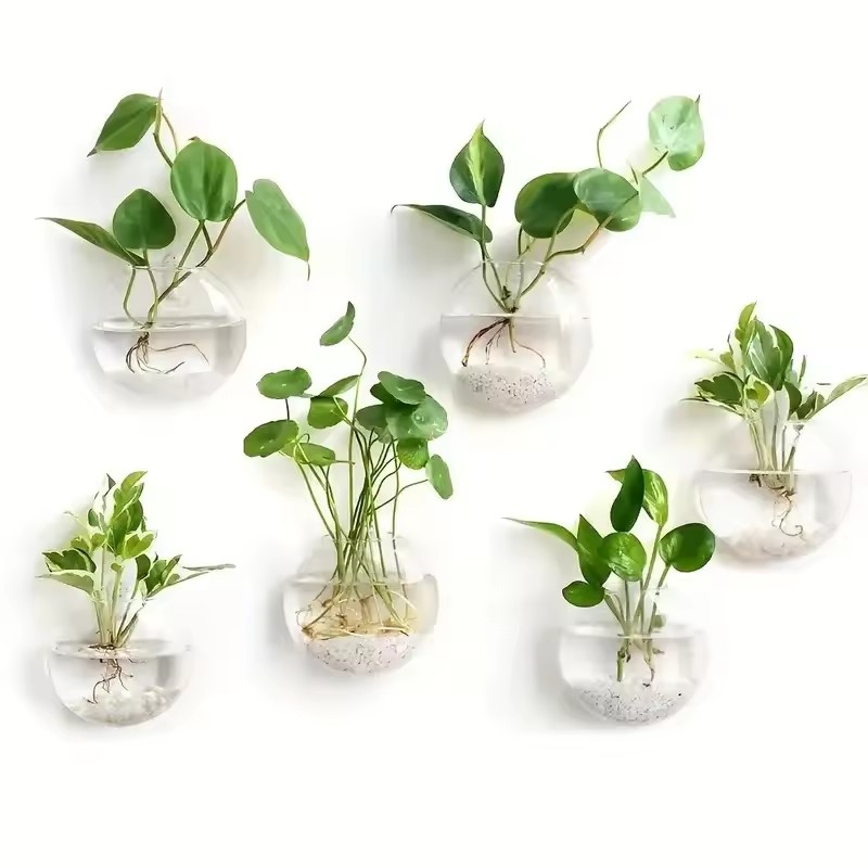Self-Watering Planter - 2/4/6 Pack Wall Hanging Glass Terrarium