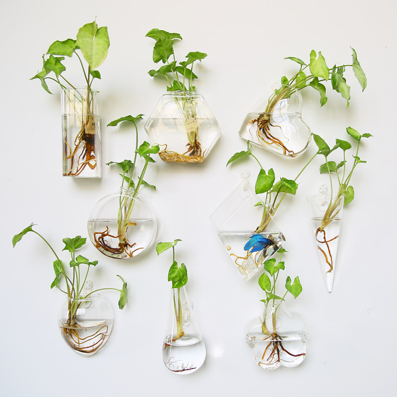 Wall Hanging Glass Terrarium - - Self-Watering Planter recension och pris