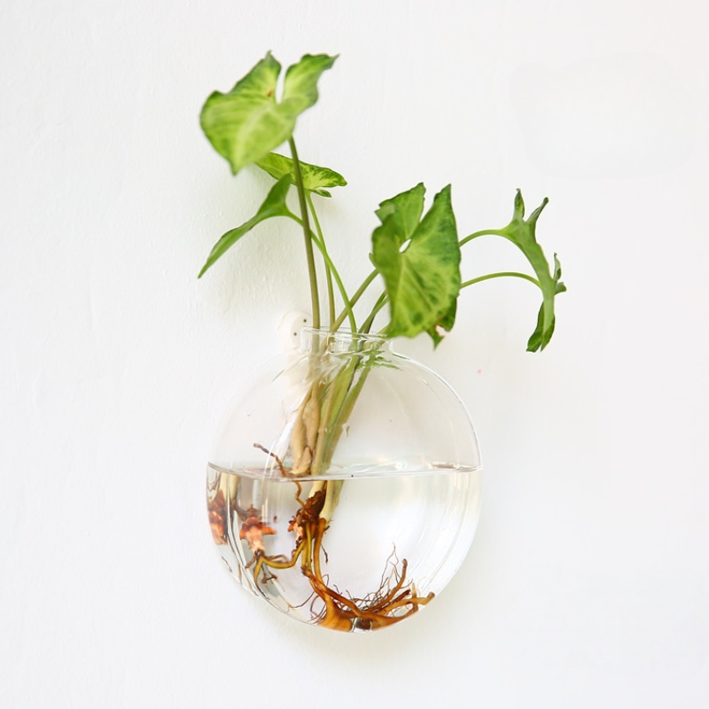 Wall Hanging Glass Terrarium - - Self-Watering Planter recension och pris